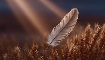 Golden feather illuminated by light nature scene soft power concept tranquil environment photo