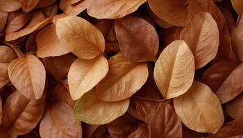 Autumn leaves gathered in an imperfect pile nature close-up top-down view photo