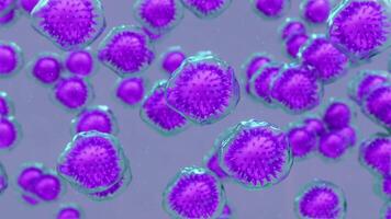 Microscopic visualization of vibrant microscopic cells, highlighting their intricate structure and translucent membrane. video
