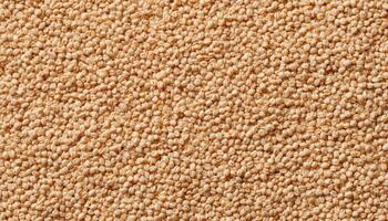 Abstract texture of millet seeds with soft shadows close-up photography natural environment photo