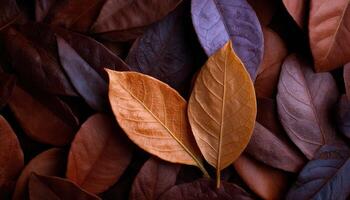 Dry leaves in various shades of brown nature textured background autumn vibes close-up view photo