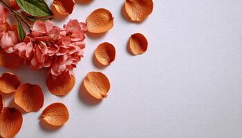Scattered dried petals on soft surface artistic arrangement natural beauty close-up view photo