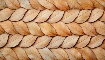 Intricate pattern of dried leaves overlapping on ground nature close-up outdoor top-down view photo