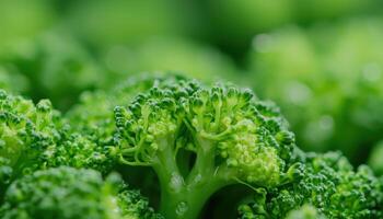 Closeup of broccoli florets nature food photography detailed texture green environment photo