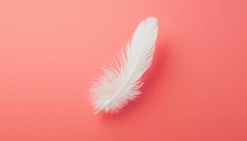 Delicate white feather floating over neutral background minimalistic art calm environment photo