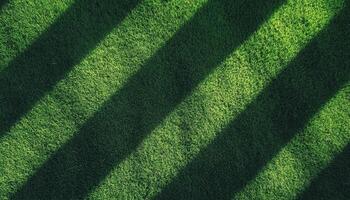 Shadows on lush green grass backyard nature photography outdoor aerial view patterns photo