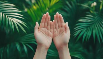 Sunlit praying hands nature setting close-up view symbol of spiritual connection photo