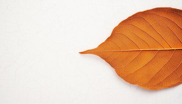 Macro shot of dry leaf veins in autumn tones flat lay low resolution nature photo