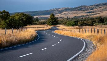 Winding empty road under warm sunlight dry grass landscape scenic viewpoint photography photo
