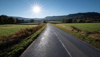 Narrow solitary road with sun flares scenic fields nature photography daytime serene landscape photo