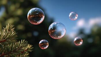 Floating soap bubbles in sunlight photo