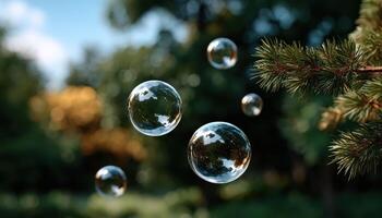 Floating soap bubbles in sunlight nature scene dreamy soft focus outdoor environment photo