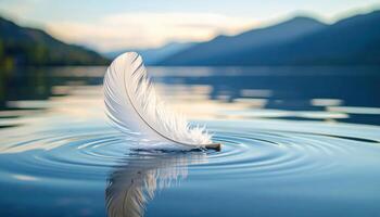 Floating white feather on tranquil water ripples in nature serene background peaceful view photo