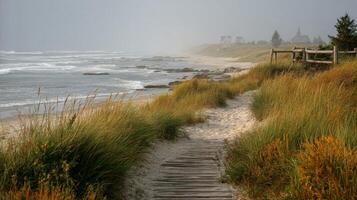 Coastal Path with Wildflowers and Ocean View photo