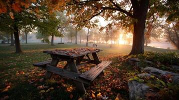 Autumn Sunrise in a Foggy Park with Picnic Table photo