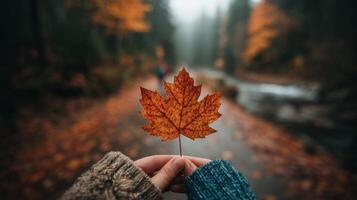 Autumn Maple Leaf Held in Hands Against a Foggy Forest Background photo
