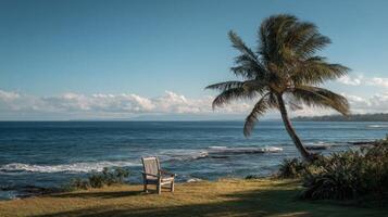 Serene Beach Scene with Palm Tree and Empty Chair photo