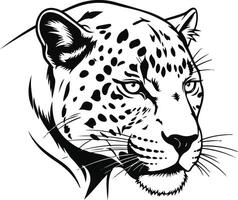 The leopard is drawn in black and white on a white background vector