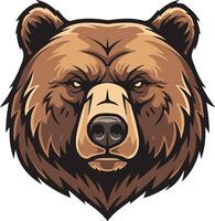A bear head with a big nose and big eyes vector