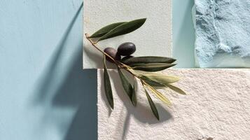 Top-Down View of Minimalist Olive Branch and Textured Abstracts photo