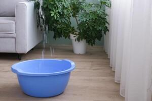 Water is running from the ceiling into a basin. Roof leak, flooded neighbors. The flood in the apartment photo