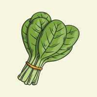 Bundle of fresh spinach leaves illustration vector