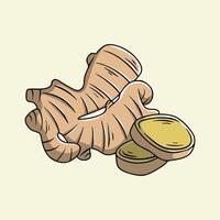 Ginger Root and Slices Illustration vector