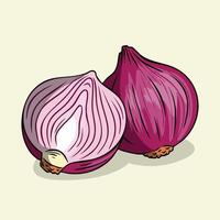 Illustration of Two Red Onions vector
