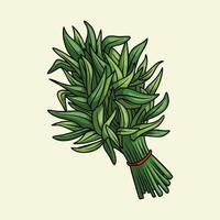 Illustration of a water spinach bundle vector
