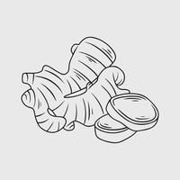 Ginger Root and Slices Line Art Illustration vector