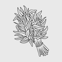 Line art illustration of a water spinach bundle vector