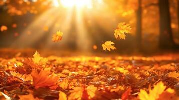 Golden maple leaves falling on an autumn forest floor with warm sun rays, vibrant autumn colors creating a calm natural landscape in the woods during golden hour photo