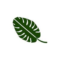 Detailed green monstera leaf against a clean background showcasing its unique shape and texture vector