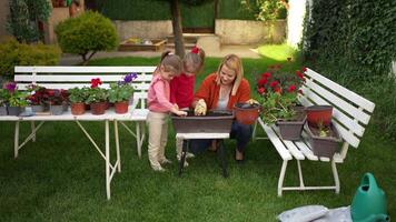 Gardening joy shared by family in a sunny backyard activity video