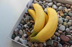 Fresh Bananas Bunch On Smooth Sea Stones In Cardboard Tray photo