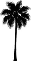 Abstract Evolution of Palm Tree Silhouette in Nature Life Cycle vector