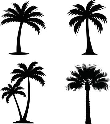 Elegant Minimal Palm Tree Design for Home or Office Decor