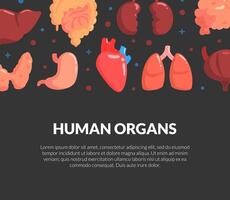 Human Organs Banner, Medical Science Innovation, Bioengineering Technologies for Creating Viable Organs for Transplantation Illustration vector