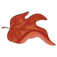 icon of a red leaf from a deciduous tree, namely a maple, for Canada Day or autumn designs vector