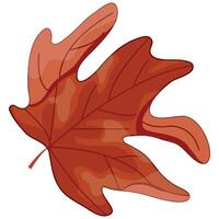maple leaf icon in red colors with a bent corner, for Canada Day or autumn design vector