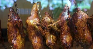 This slow motion shows the hands of a cook hanging roasted duck in a Chinese restaurant display case. video