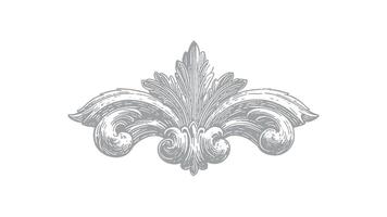 Detailed Engraved Ornament with Acanthus Leaf and Scrollwork Elements vector