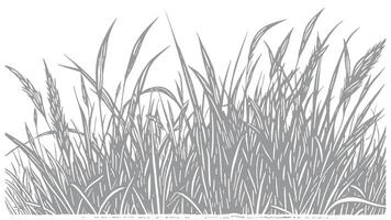Detailed hand-drawn illustration of tall grass swaying in the wind vector