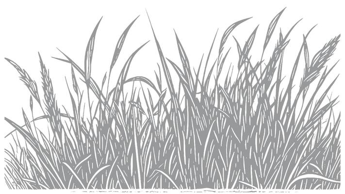 Detailed hand-drawn illustration of tall grass swaying in the wind