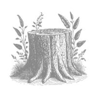 Hand-drawn illustration of a weathered tree stump with surrounding flora vector