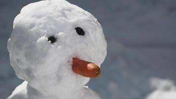 Snowman with carrot nose in winter landscape video