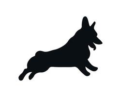 Corgi silhouette isolated on white background. vector