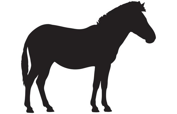 Side View Horse Silhouette