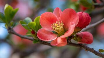 Macro view of flower on tree with lush background photo