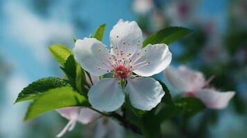 Tree flower up close with rich depth and sharp texture photo